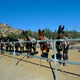 Illustration for article titled The Los Angeles Aqueduct Turns 100, or The Mules That Built L.A.